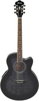 Ibanez AEL20E