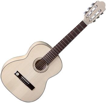 VGS Guitars VGS Pro Natura Silver Starter Set