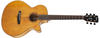 Cort Akustikgitarren