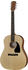Gibson G-45 Natural Generation