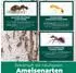 Silberkraft Anti Ameisen Spray 500 ml
