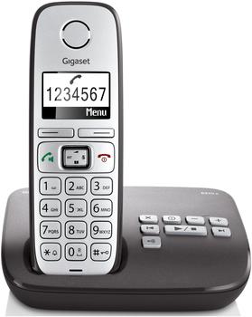 Gigaset E310A