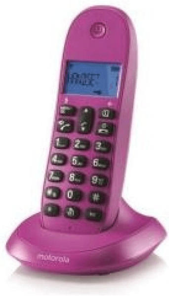 Motorola C1001 solo purple