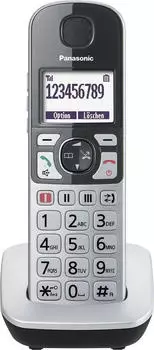 Panasonic KX-TGQ500GS