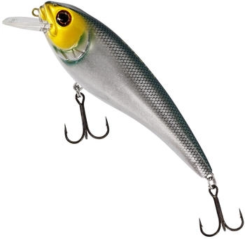 Westin RawBite 17cm 100g Low Floating - Headlight