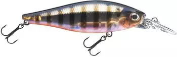 Daiwa TN Tightwave Shad 75F Twitchbait Wobbler (TN Tightwave Shad 75F)