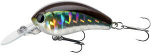 Daiwa Tournament Baby Crank 35F-SR Kibinago