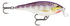 Rapala Shallow Shad Rap 9 cm