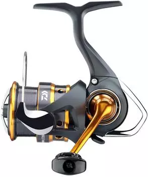 Daiwa 24 Iprimi LT 1000S-P Finesse Rolle