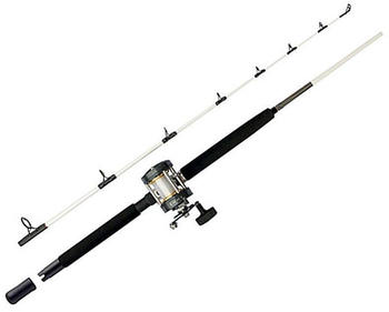 Mitchell Performance Sw 602 Lh Combo Mehrfarbig 1.80 m / 15-40 g