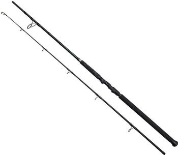 MADCAT Black Spin Welsrute 300cm 40-150g (70693)