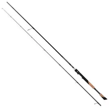 Fox Rage TR DS Master 245cm 6-25g Spinnrute