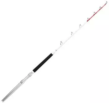 Rapala Magnum Rh 5'8 2P 173cm 20-30lbs Bootsrute