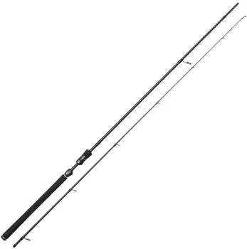 Westin W3 POWERLURE 3RD 8'/244CM H 20-60G 2SEC