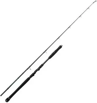 MADCAT Black Close Combat 180cm 50-125g Wallerrute