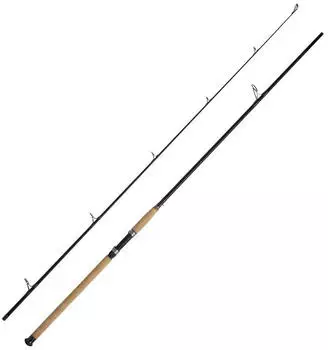 WFT Steckrute Charisma Power II Länge 2,40m Wurfgewicht 120-420g