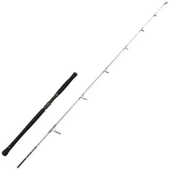 MADCAT Full Force Spin 210cm 50-100g Wallerrute