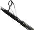 Penn Regiment IV Pro Boat 210cm 12-20lb Angelrute