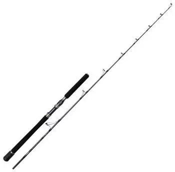 Penn Battalion Solid Boat 1.93m 20-30LB Baitcasterrute