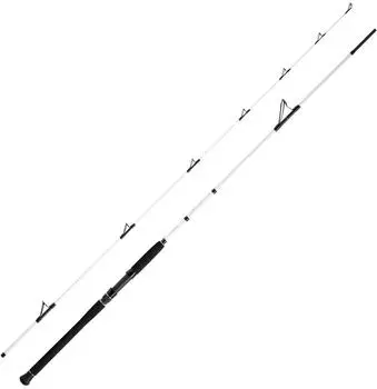 WFT Steckrute Salzmeister Köhler Jigger Länge 2,65m Wurfgewicht 25-120g