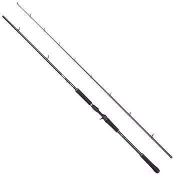 Abu Garcia BEAST X2 7411 HP Casting 223cm 40-120g Baitcastrute
