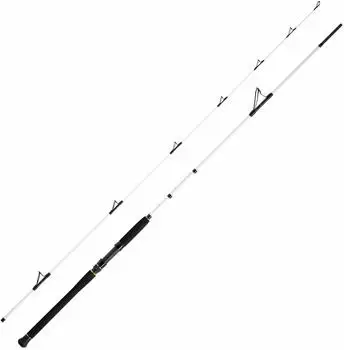 WFT Steckrute Salzmeister Pollack Jigger Länge 2,65m Wurfgewicht 20-90g
