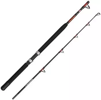 Penn WARFARE II Boat 6ft 2p 30lb Bootsrute Pilkrute