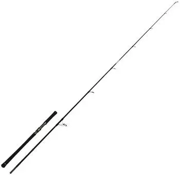 Zeck Fishing Zeck Evo Cat Spin 243cm 120g Welsrute