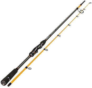 Sportex Absolut NT 2,70m 21-53g