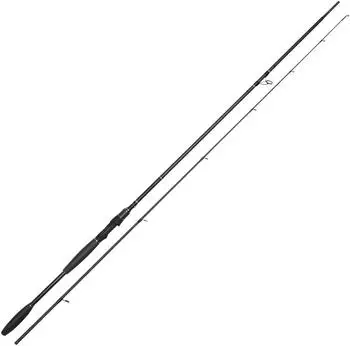 Westin W10 Powerteez 2,58m 20-60g