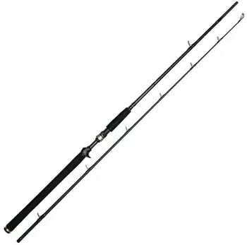 Westin W3 Jerkbait-T 2nd XXH 1,95m 40-130g