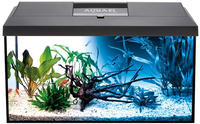 Aquarium Leddy 60 schwarz D & N 2.0 ausgestattet 60 x 30 x 30 cm 54 l