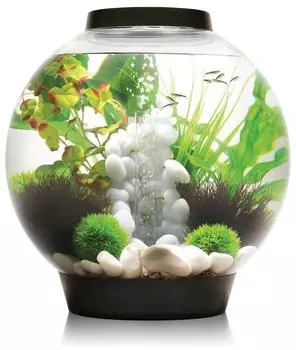 biOrb Classic 30 LED schwarz (72005)
