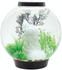 biOrb CLASSIC 60 LED schwarz (72011)