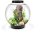 biOrb CLASSIC 60 LED schwarz (72011)
