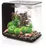 biOrb Flow 30 LED schwarz (72033)