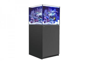 Red Sea REEFER 200 XL G2 2022 mit Unterschrank schwarz