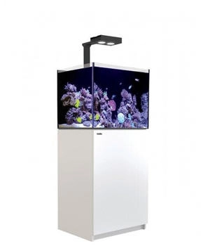 Red Sea REEFER 170 Deluxe G2 2022 weiß