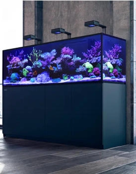 Red Sea REEFER 425 XL G2 2022 Kombination schwarz
