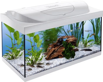 Tetra Starter Line LED 54L Aquarium weiß