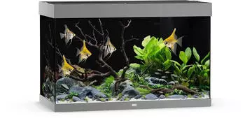 Juwel Rio 290 LED SBX grau