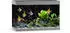 grau: Juwel Rio 290 LED SBX