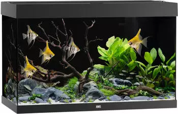 Juwel Rio 290 LED SBX schwarz