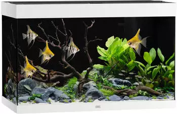 Juwel Rio 290 LED SBX weiß