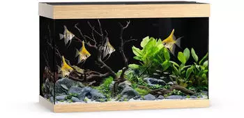 Juwel Rio 290 LED SBX Helles Holz