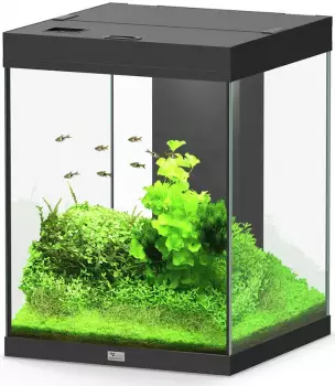 Aquatlantis Aqua Tower 163 Aquarium-Set schwarz