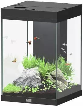 Aquatlantis Aqua Tower 96 Aquarium-Set schwarz