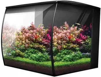 Fluval Flex 2.0 Aquarium-Set schwarz 34l (15050)