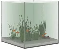 vidaXL Aquarium mit Speicher Transparent 30 x 30 x 30 cm Glas