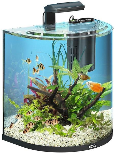 Tetra AquaArt Explorer Line Aquarium Set 60L anthrazit